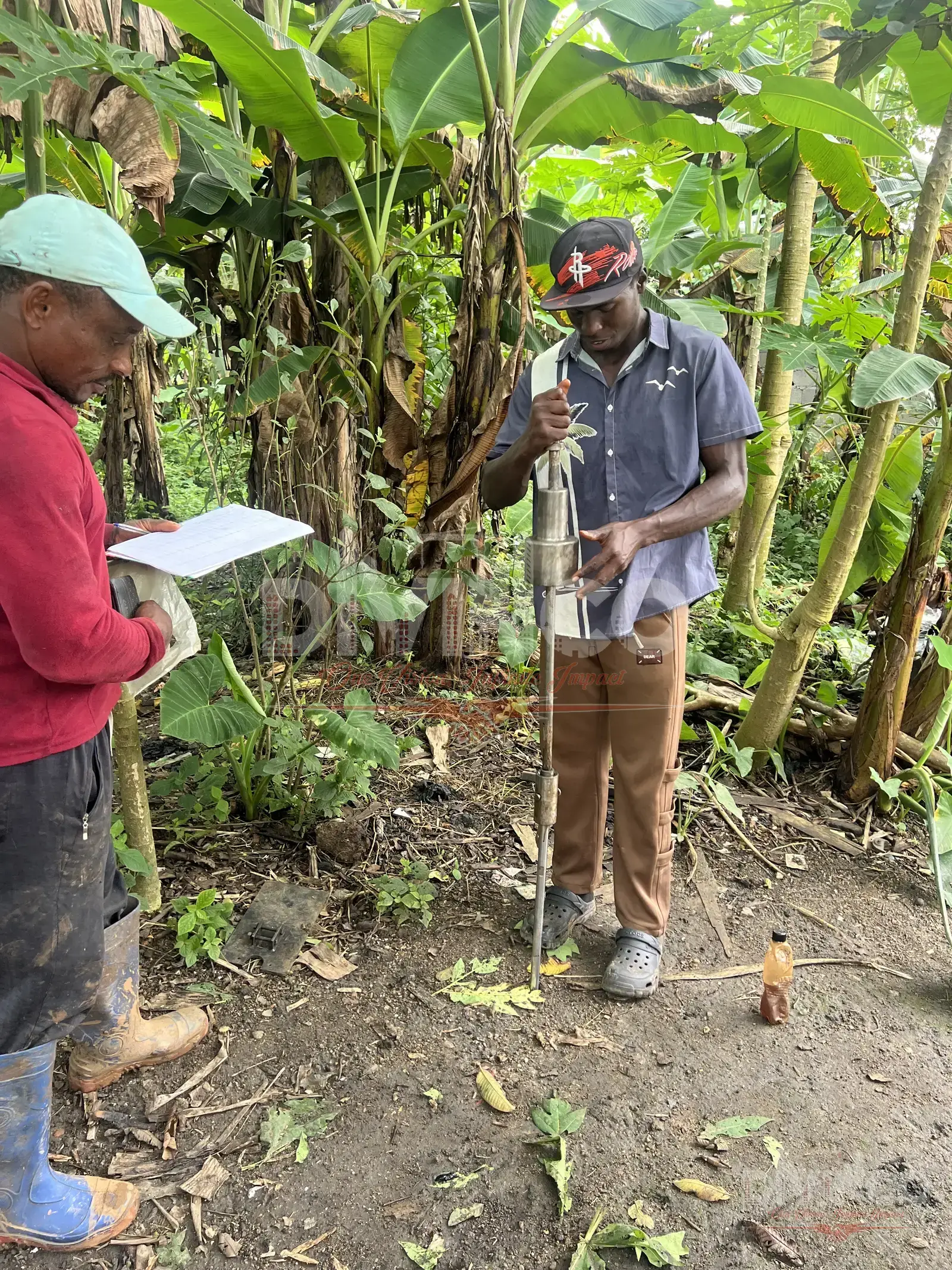 DPC Testing — Nkongho Residence