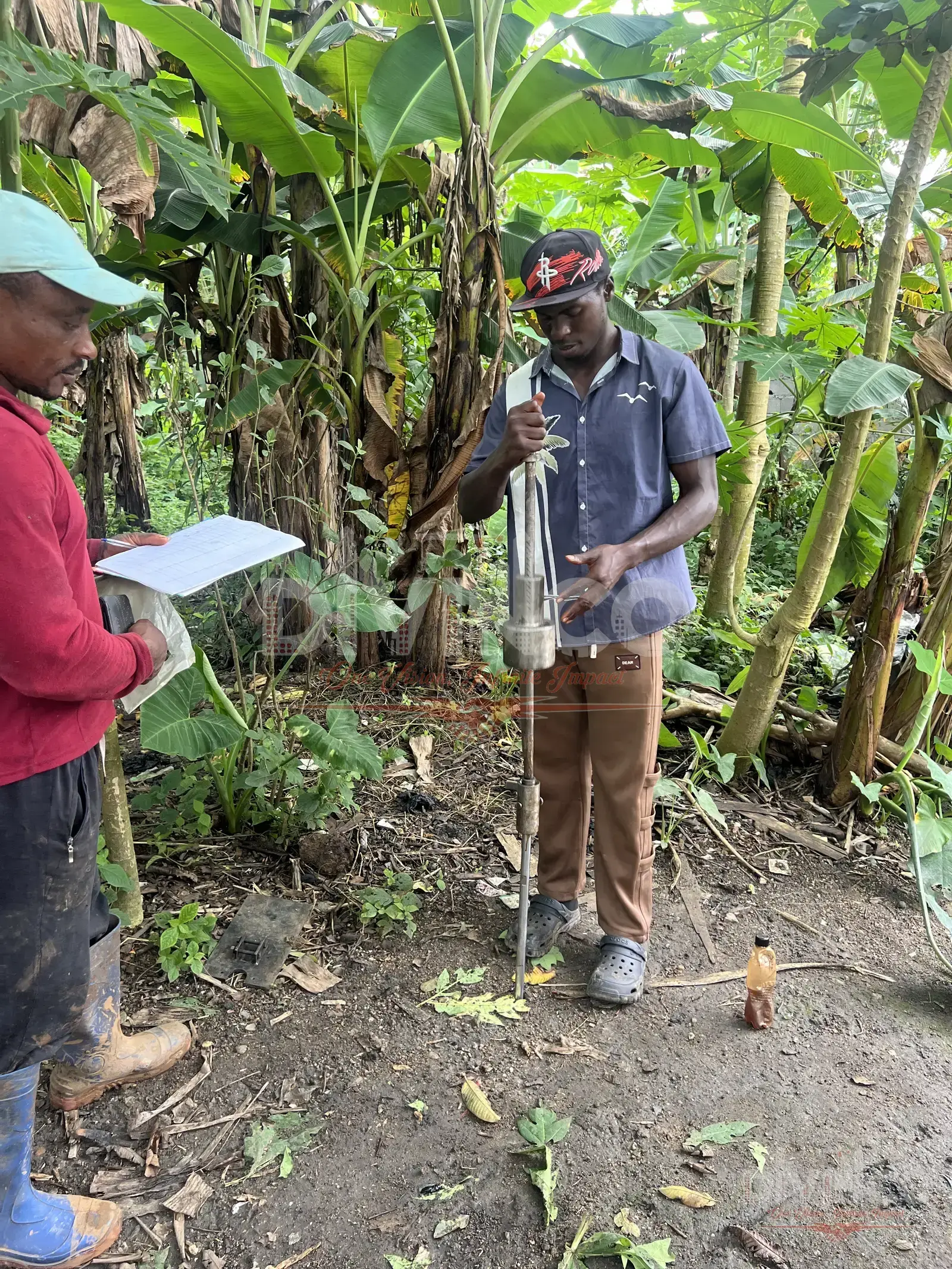 DPC Testing — Nkongho Residence