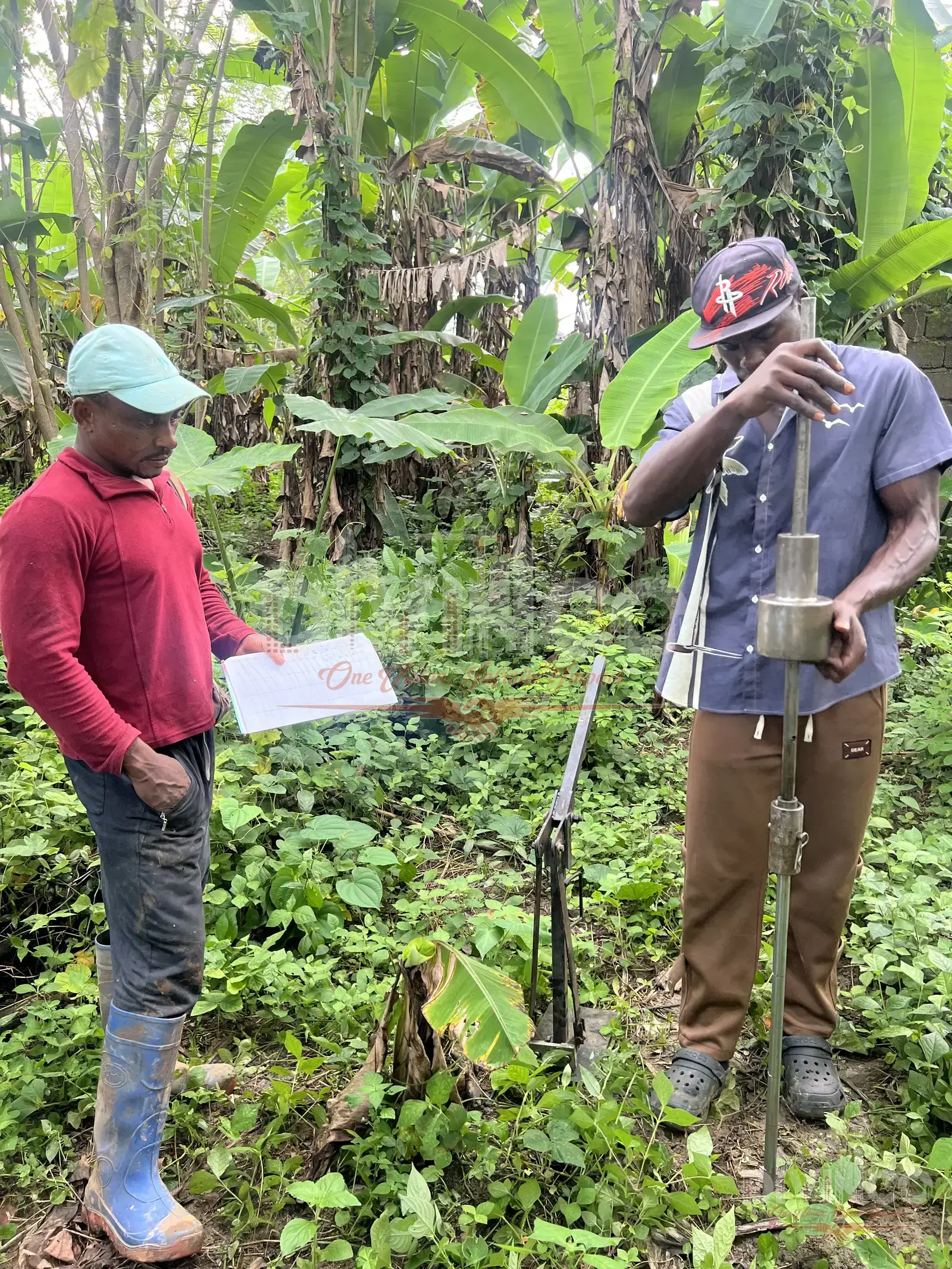 DPC Testing — Nkongho Residence