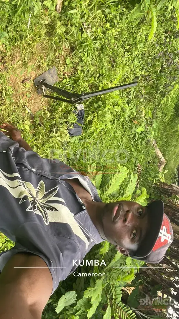 DPC Soil Investigation — Kumba