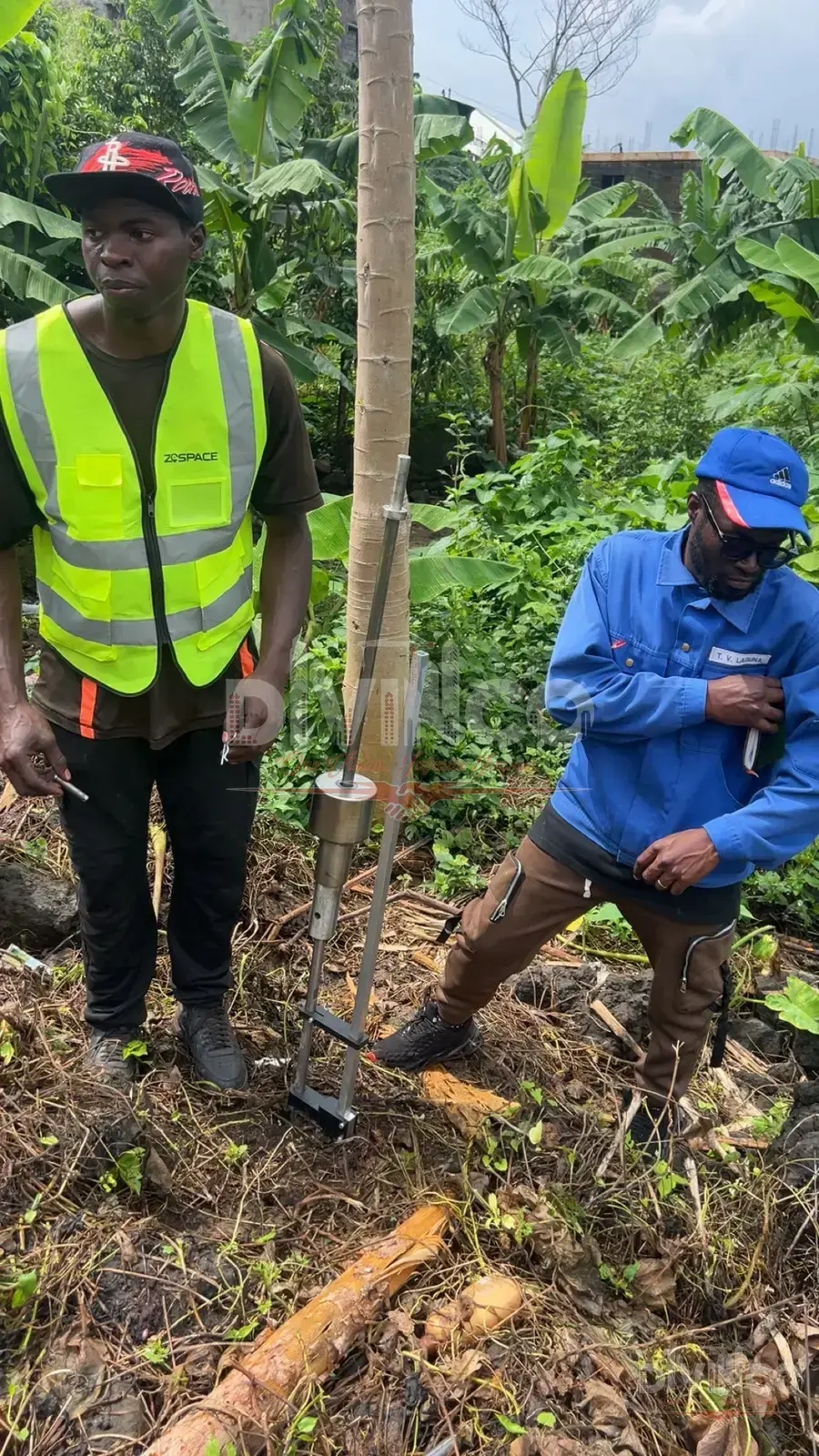 DCPT — Limbe