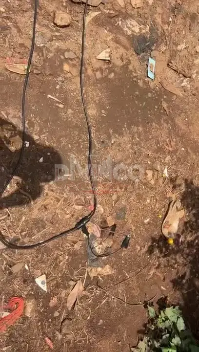 Geophysical Survey — Bambili