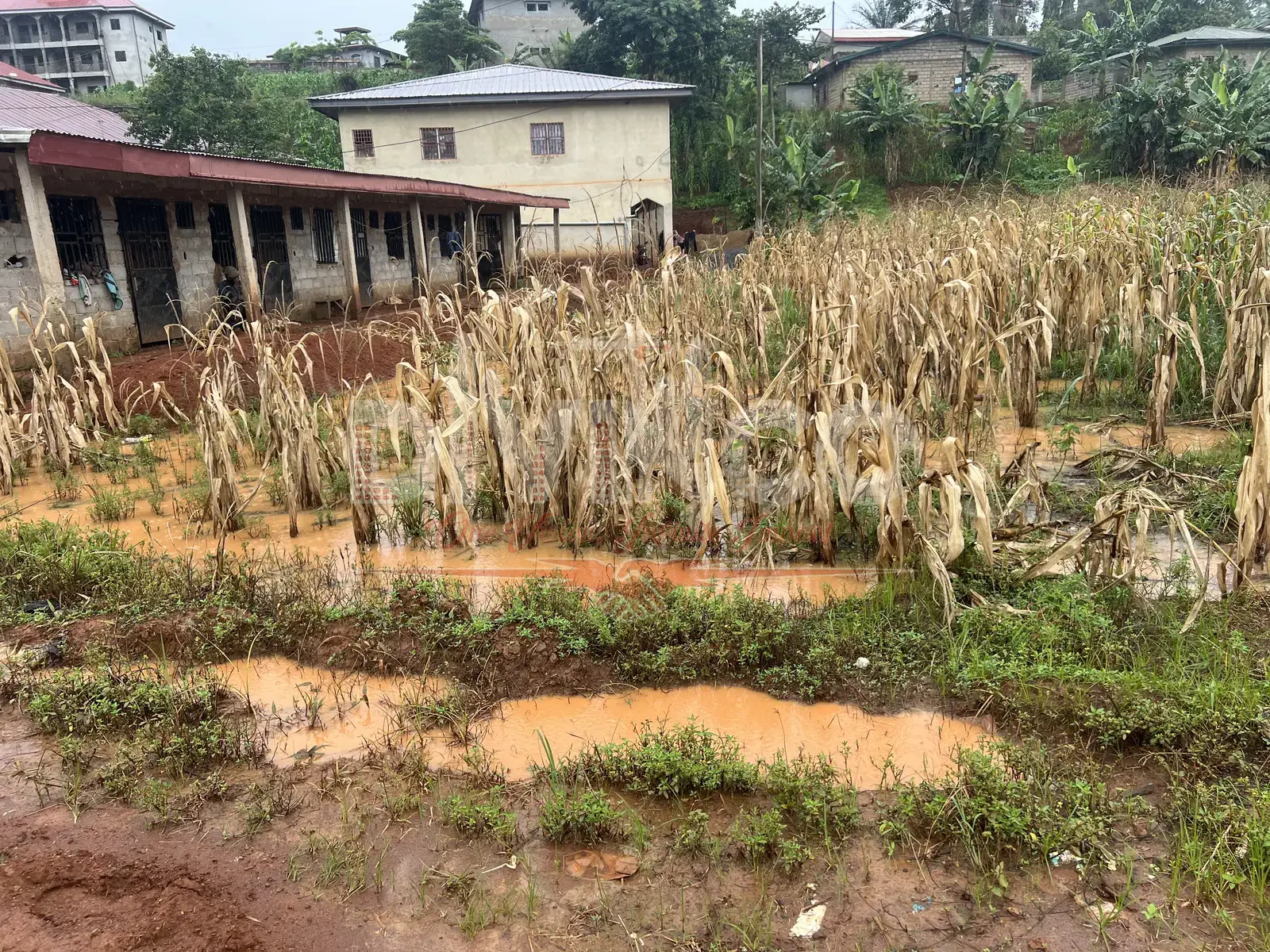 Heavy-Weight SPT — G+4 Building, Yaoundé — photo 11