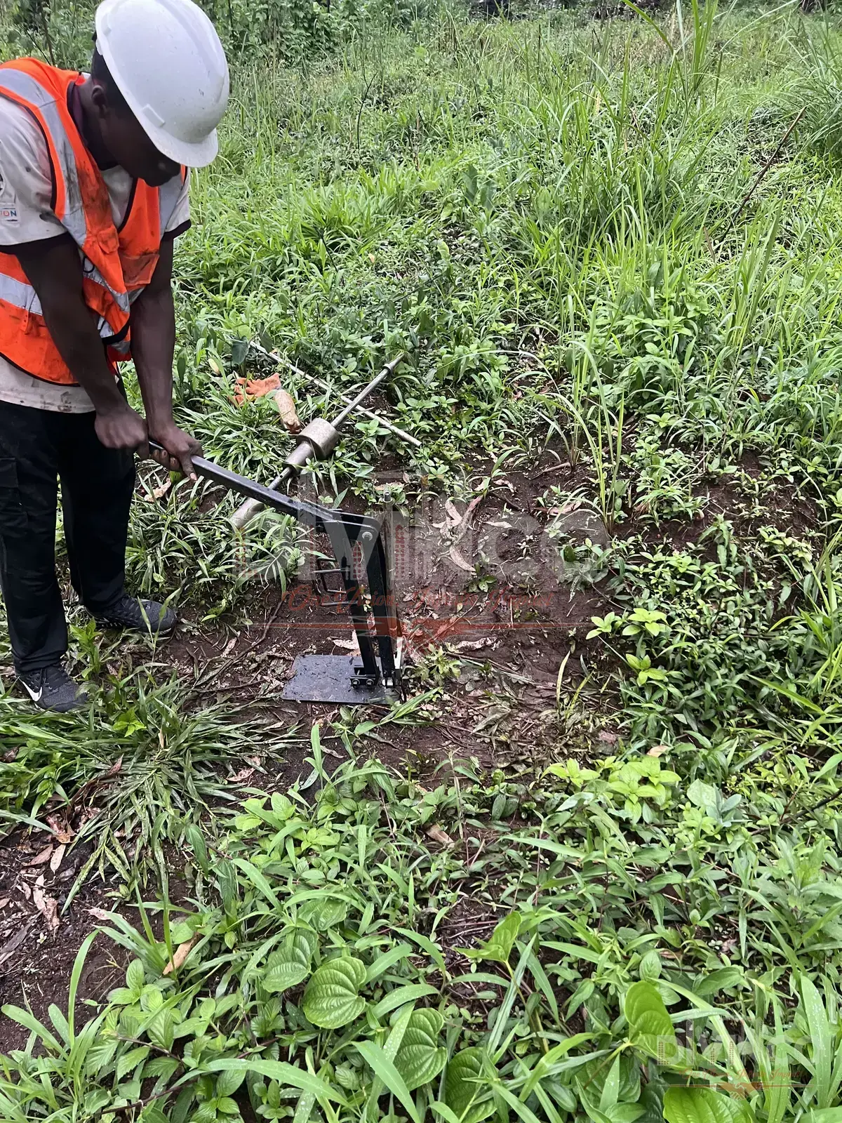 Soil Study — School