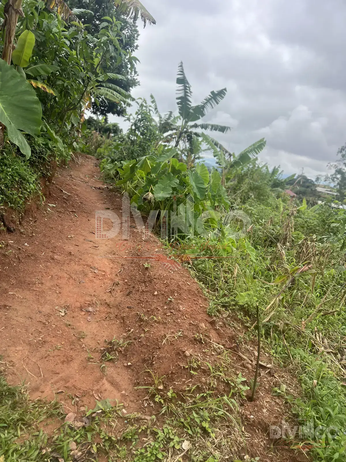 Land Survey — 9