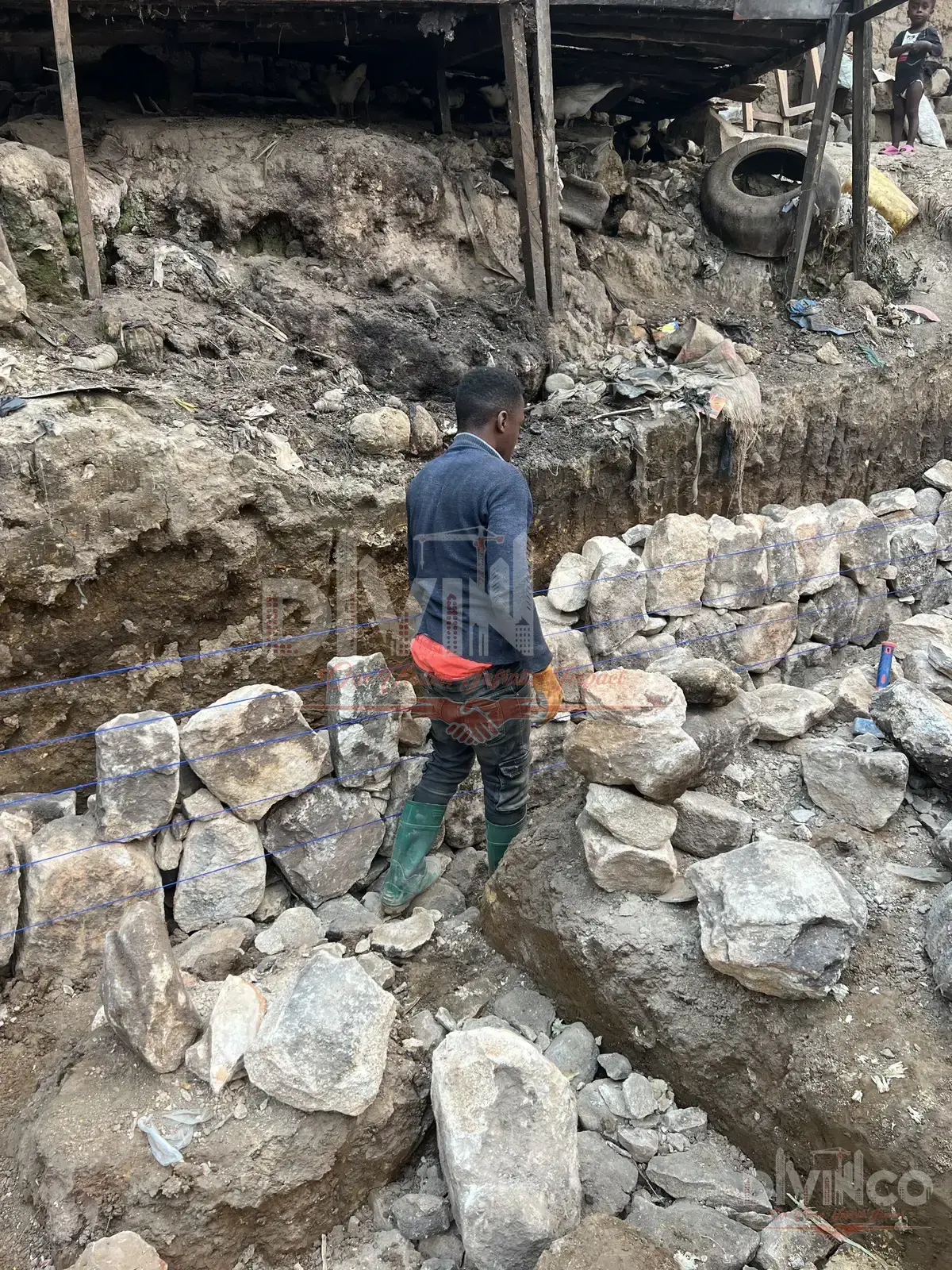 Construction & Management
