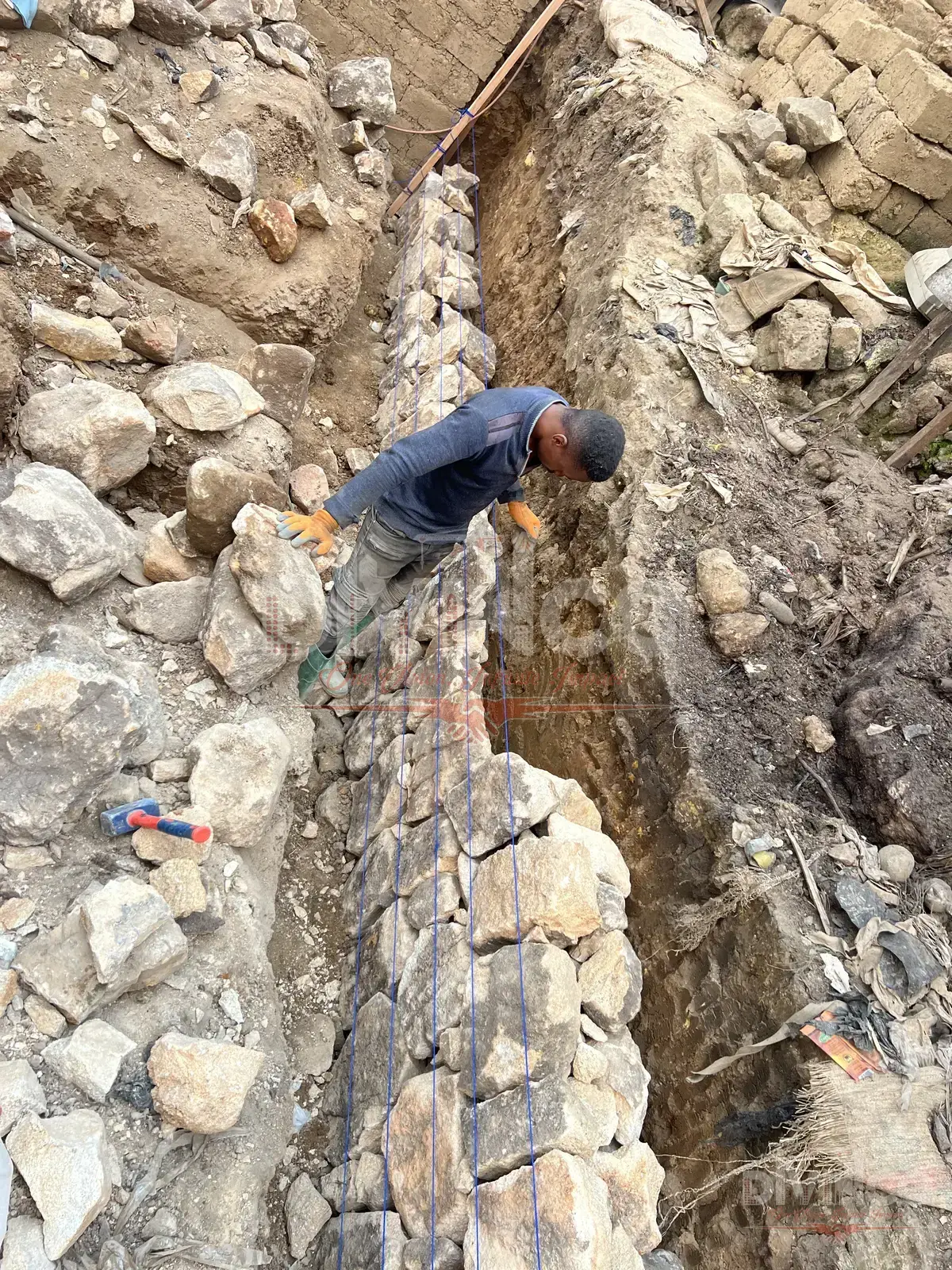 Construction & Management