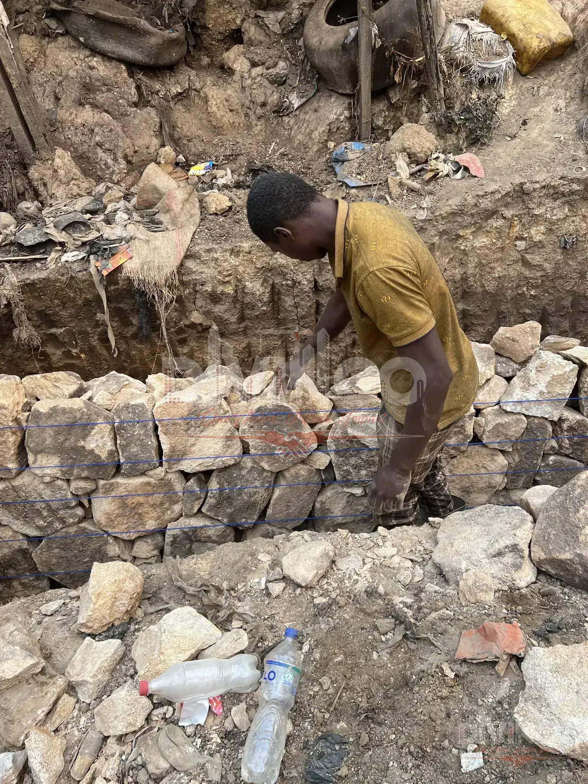 Construction & Management